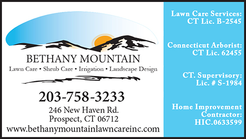 Advertisement graphic pointing to https://www.bethanymountainlawncareinc.com/