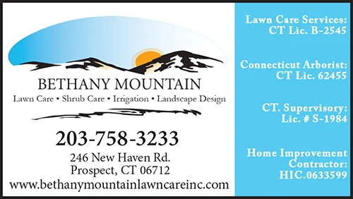 Advertisement graphic pointing to https://www.bethanymountainlawncareinc.com/
