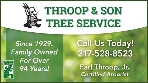 Advertisement graphic pointing to https://www.throopandsontree.com/