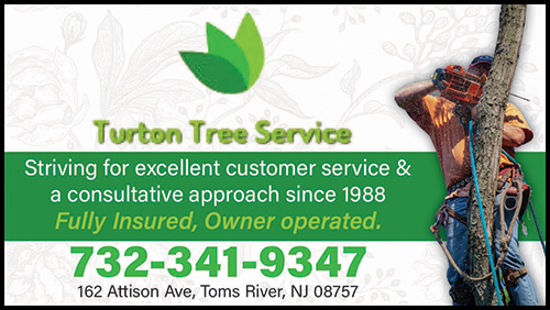 Advertisement graphic pointing to https://www.angi.com/companylist/us/nj/toms-river/turton-tree-service-reviews-3819566.htm