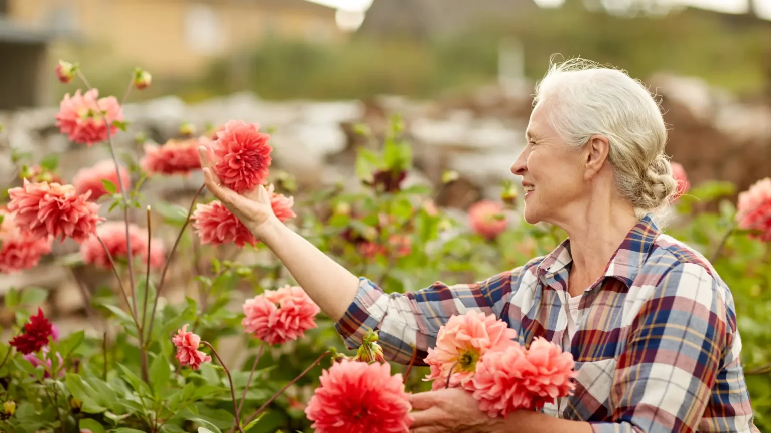 seniors in a field picking a flower