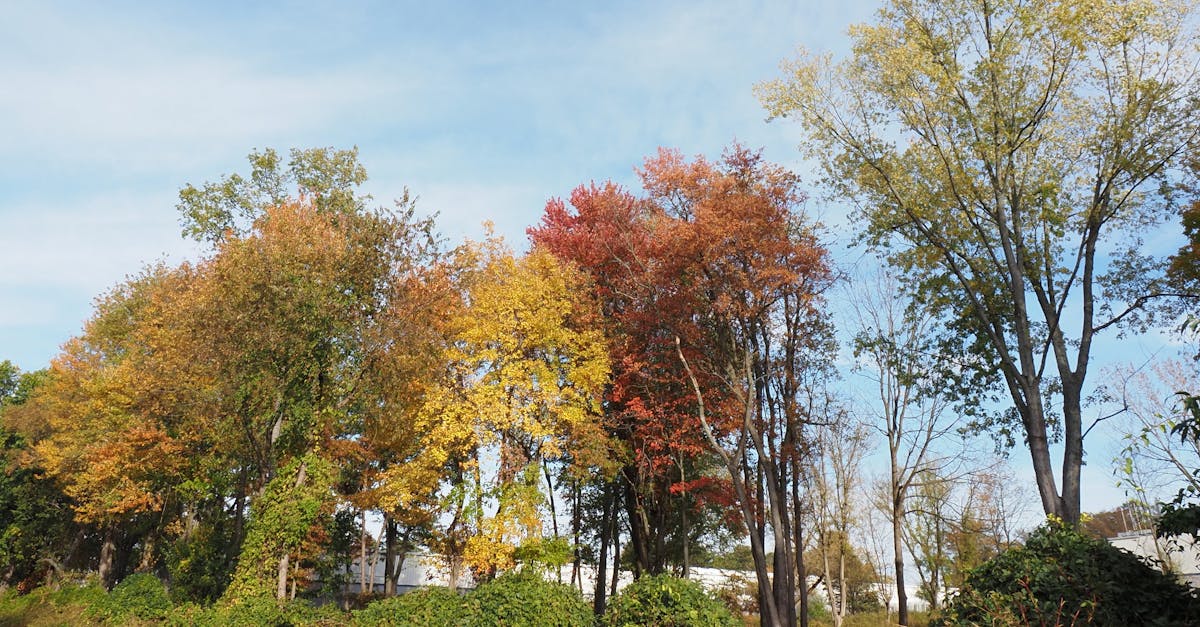 Senior Center and Older Adult News Roundup | 10/16/2025 - 10/23/2025