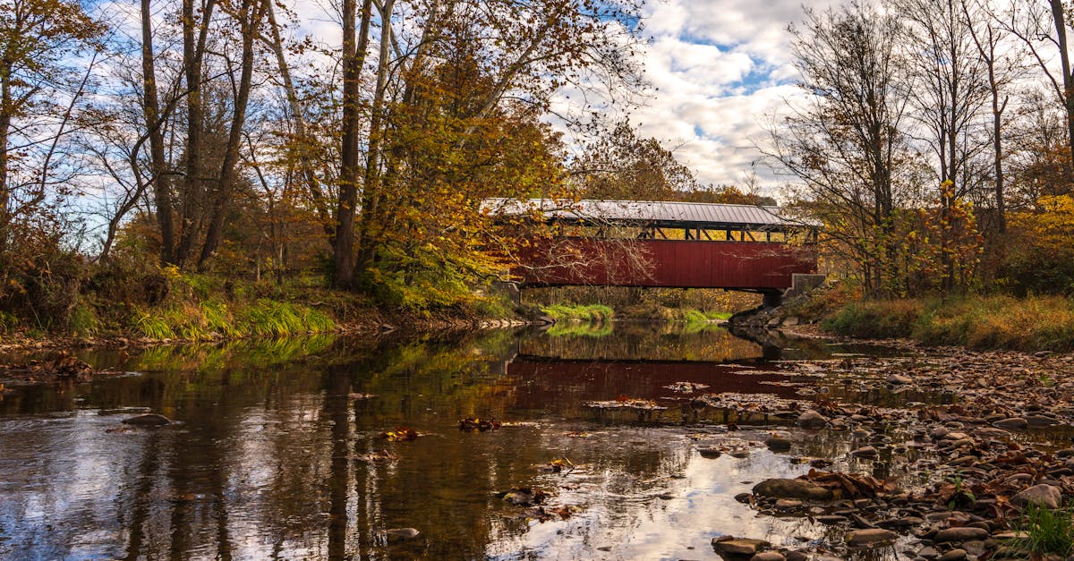 Senior Center and Older Adult News Roundup | 10/28/2025 - 11/04/2025