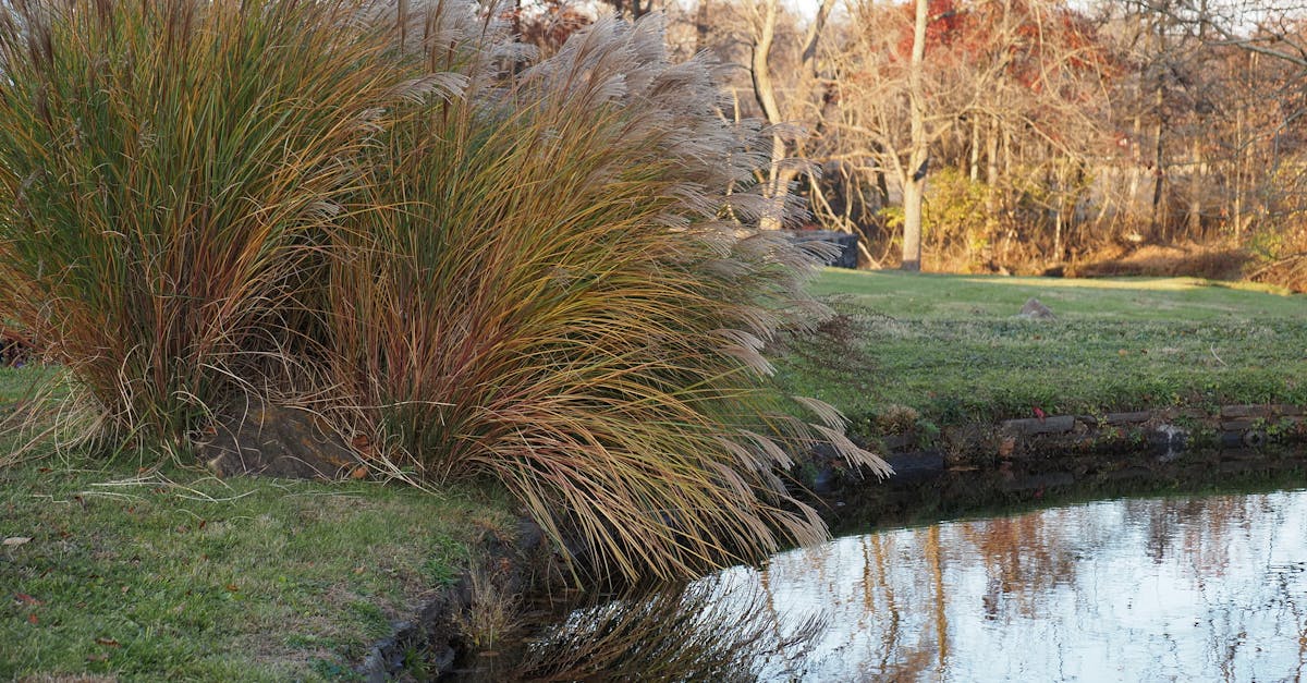 Senior Center and Older Adult News Roundup | 11/04/2025 - 11/11/2025