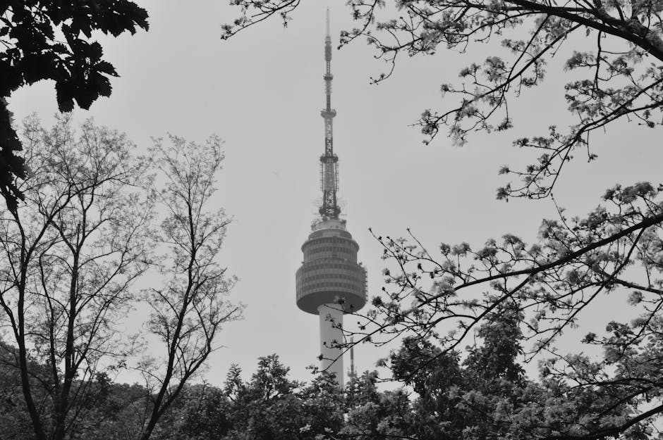 Seoul for Seniors: Palaces, Markets & Riverside Paths