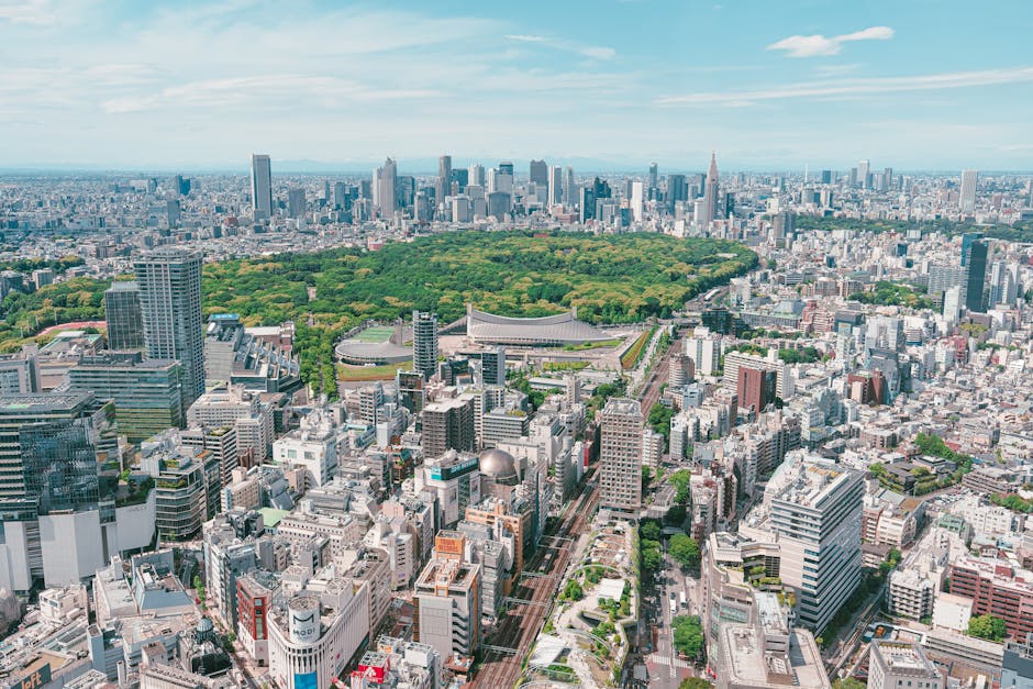 Tokyo, Unrushed: Parks, Neighborhoods & View Decks