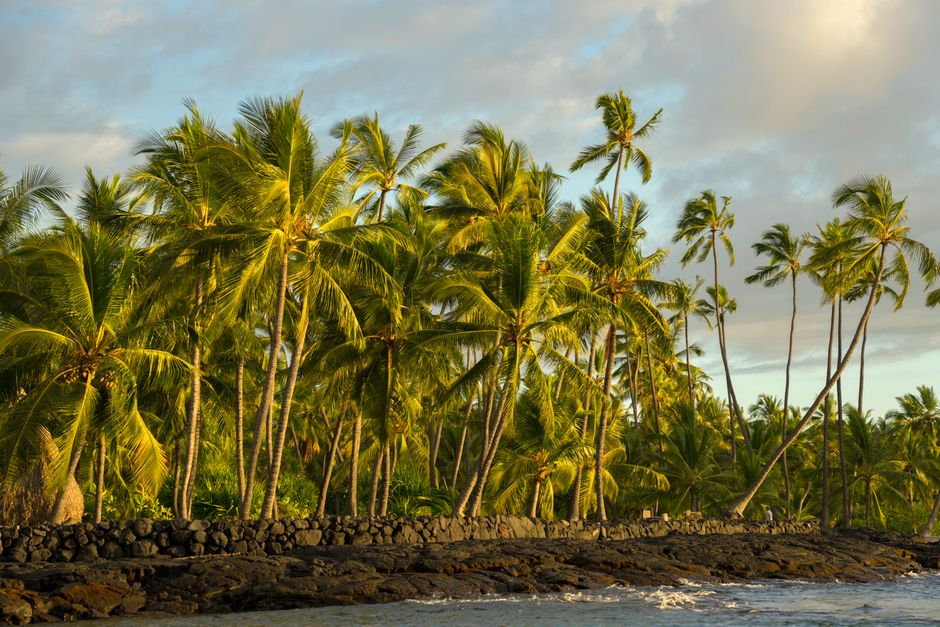 Hawai‘i at Your Pace: Beachfront Paths, Lookouts & Garden Time