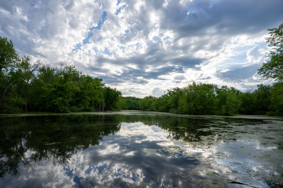 Minnesota at a Gentle Pace: Lakes, Arts & River Trails