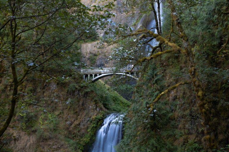 Oregon Unhurried: Waterfalls, Coast & Garden Breaks