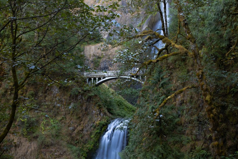 Oregon Unhurried: Waterfalls, Coast & Garden Breaks