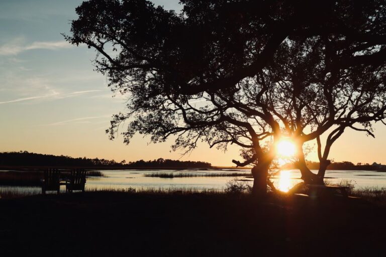 South Carolina Unrushed: Charleston, Beaches & Gardens
